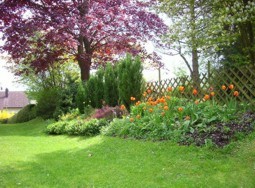 Garten Ferienwohnung Gisela